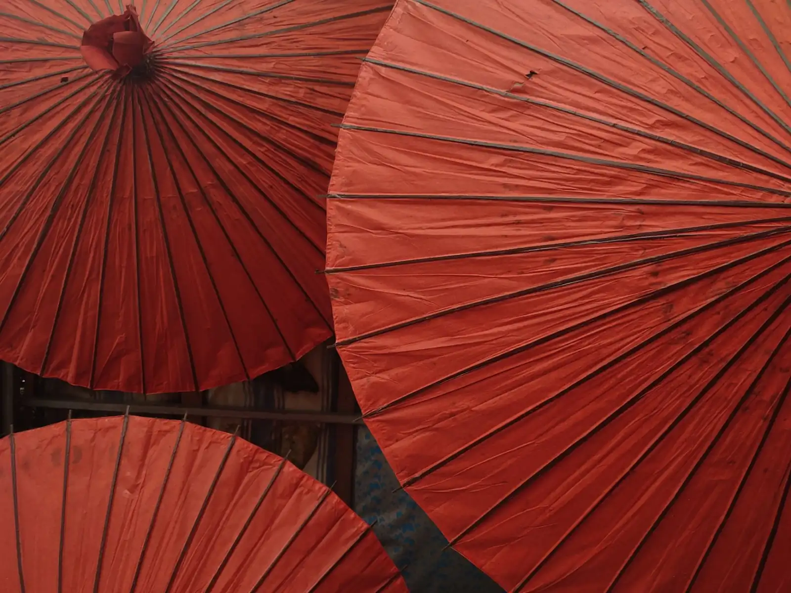 荆门雨具批发:商用雨伞与雨衣的耐用性对比分析正文配图 1